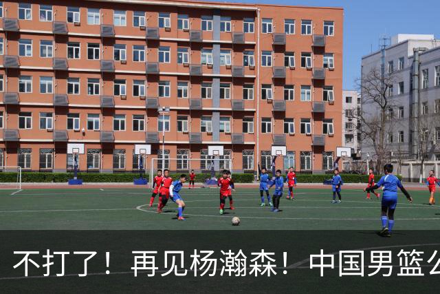 不打了！再见杨瀚森！中国男篮公布12人名单